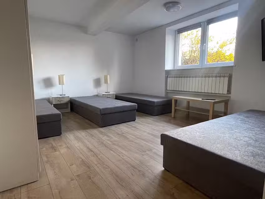 Accommodation on Lake Brdów. Agrotourism under the Willow