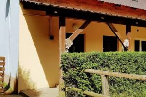 Accommodation Zacisze