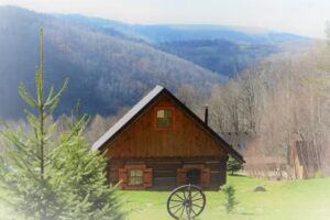 Die Jelonki-Siedlung im Großen Wald