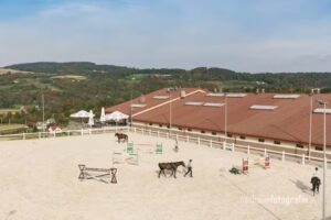 ASSANYA Horse Village Residence 》Hotel 》Restaurant