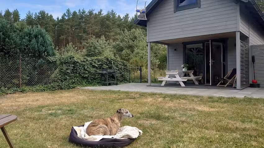 Ostoja Sosnowa Czarny Mlyn,kompleks dwoch domkow