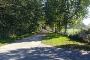 Pensjonat przy Stajni Senny