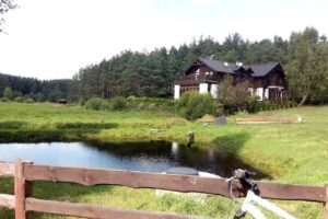 Wunderschönes Heidekraut