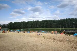 Under the Birches. Agritourism