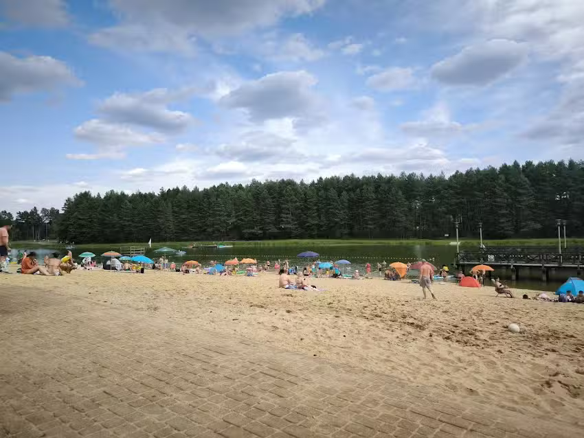 Under the Birches. Agritourism