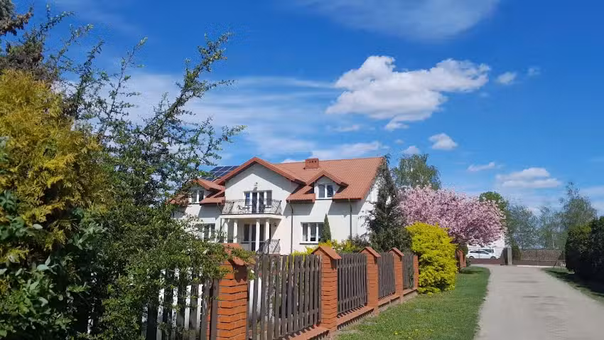 Under the Wild Pear Tree