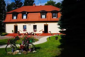 Unter der sprechenden Katze