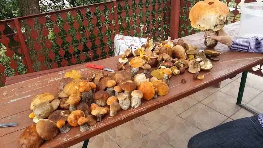 Pod Gruszą. Gospodarstwo agroturystyczne