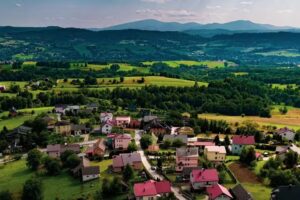 “Under the Deer”