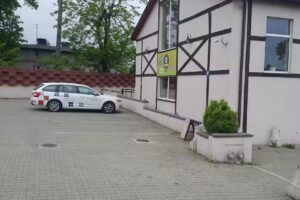 Unter dem Kastanienbaum