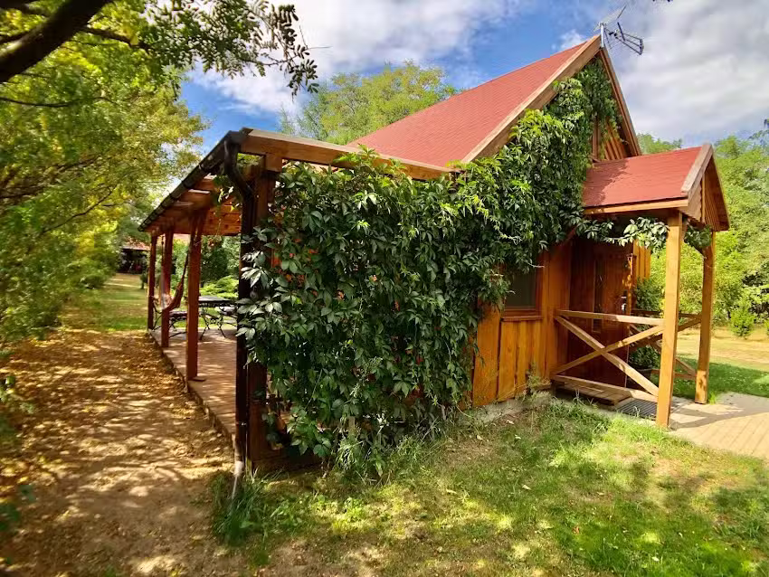 Under the Linden Tree