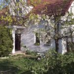 Under the Linden Tree