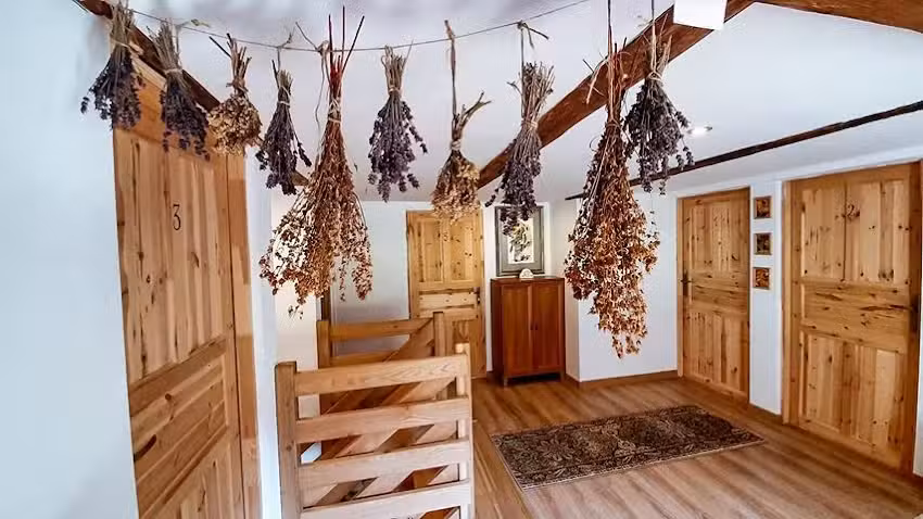 Art-Dworek Guest Rooms