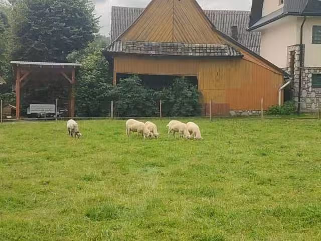 Adrians G&auml;stezimmer