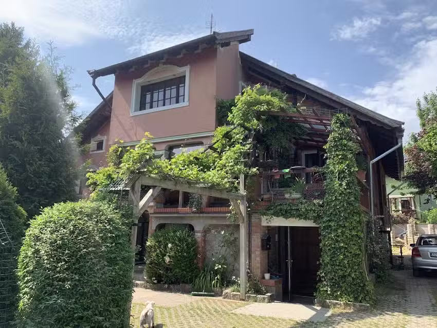 Pokoje Pod Winogronami