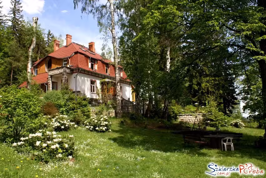 Polny Krzew Willa – Noclegi i organizacja imprez okolicznościowych