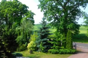 Bei den Eichen – Hotelstandardzimmer