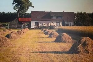 Ranch am Ende der Welt