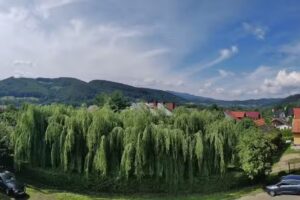 Restauracja Pod Jabłonią