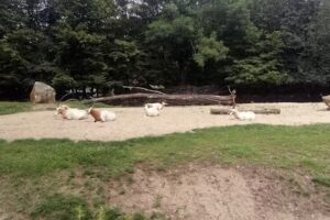 Roszczak A. Agrotourismus