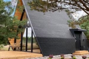 Selbstaussaat – Linkes Ufer der Narew