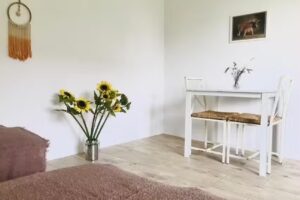 Siedlisko Barycz Kolonia – Unterkunft und Organisation von Hochzeiten, besonderen Anlässen, Unterhaltung und Freizeit