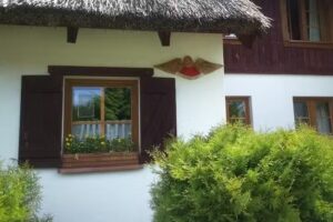 Der Lebensraum des Gacanek – Tuchola-Wald