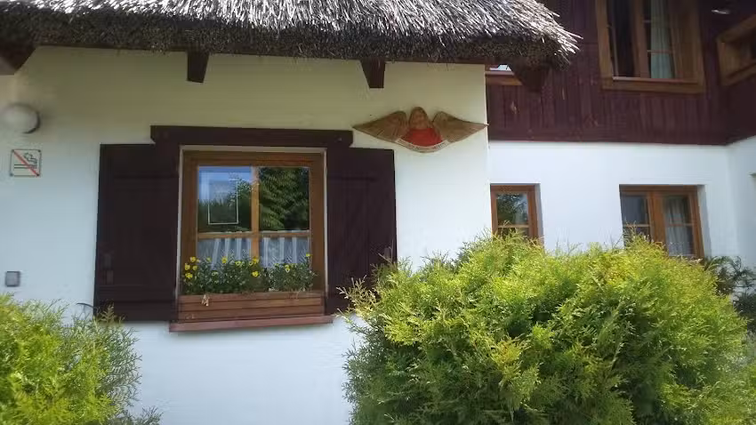 Der Lebensraum des Gacanek – Tuchola-Wald