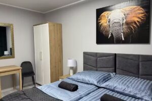 Solanki Central Apart