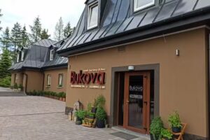 Silver Bucznik Wellness & Restaurant