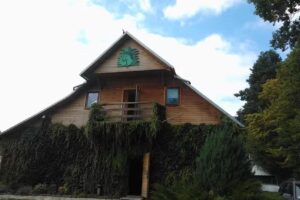 Stud Farm Under the Forest