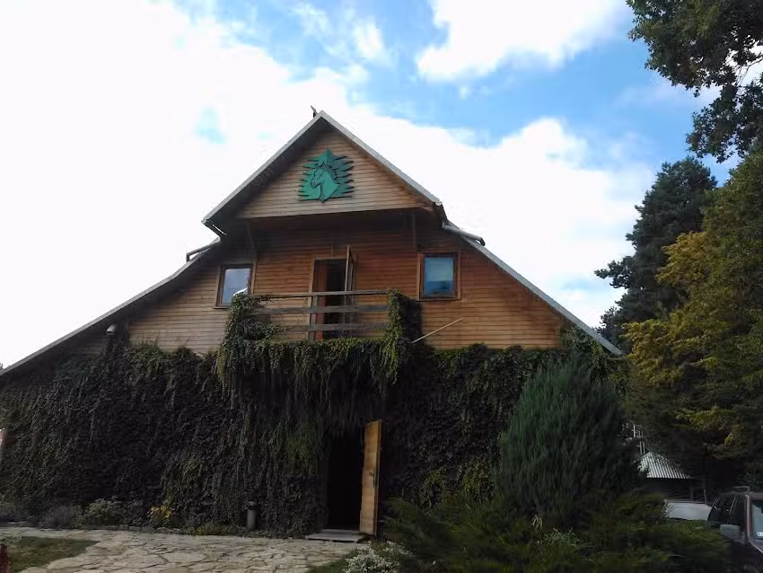 Stud Farm Under the Forest