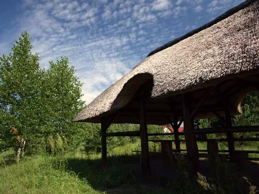 Ostoja Stables | Agrotourism with horses, horse riding in Świętokrzyskie Voivodeship