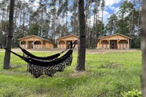 Alter Wald Siemczyno