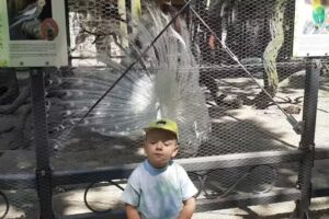 Szumiło Halina. Unterkunft