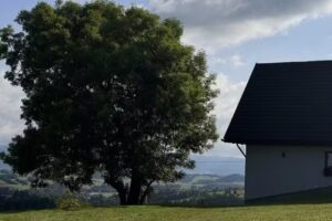 Terrace at Zajac’s