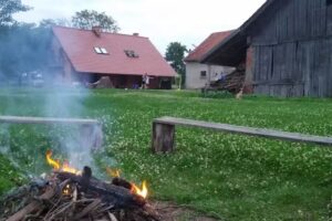 Schilffeld-Agritourismus