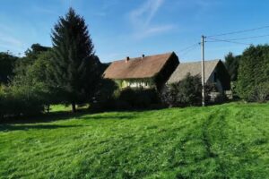 Drei Hähne. Ländlicher Agrotourismusbetrieb. Potemkin CM