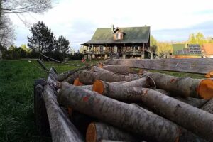 At Basia and Waldek’s