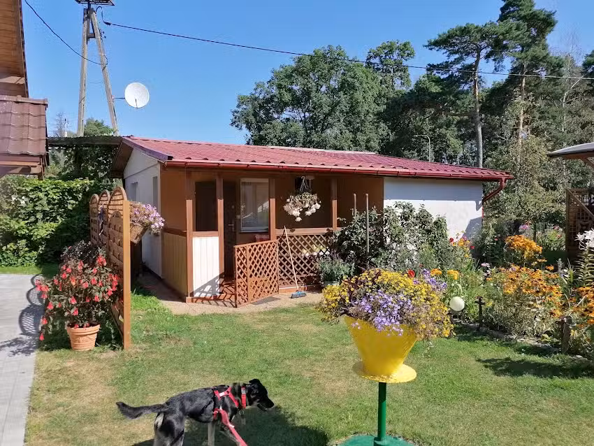 In Mariannas Ferienhäusern in Mikoszewo