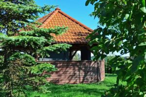 At the Miodowskis’