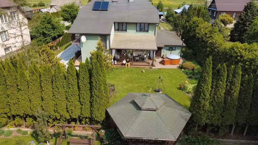 At the threshold of the forest