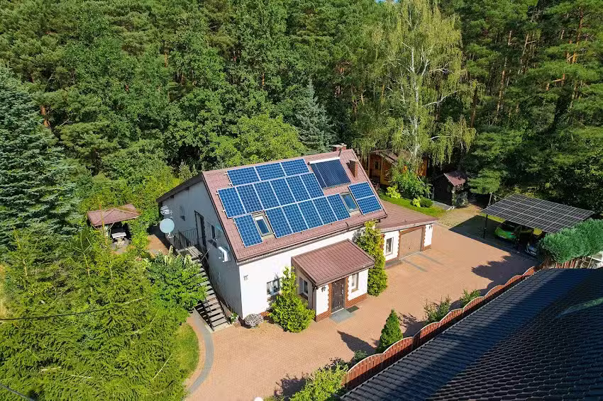 EINE JAHRESZEIT IN DER NÄHE DES WALDS