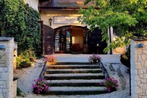 Vincent Die Kunst der Entspannung