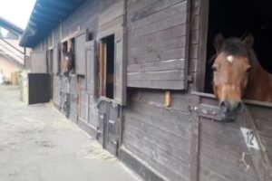 Wojtowicz Anna Agritourismus