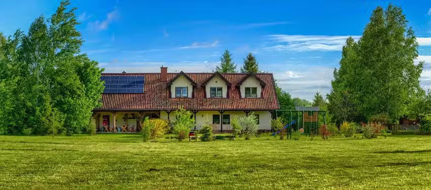 Sparrow on the River