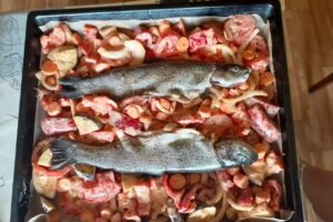 Zimmervermietung Sadzińscy