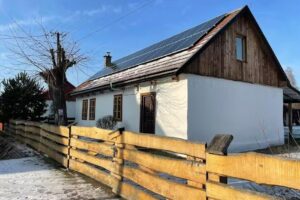 Rest under the acacia tree