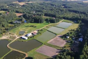 Zagroda Ojrzanów – Agriturismo mit Seele: Yoga-, Meditations-, Entwicklungs- und psychologische Workshops