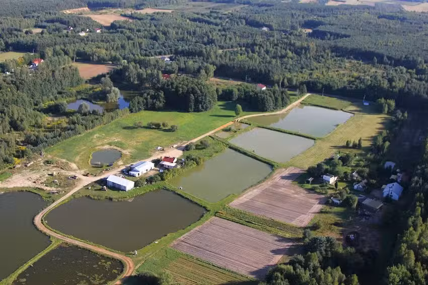 Zagroda Ojrzanów – Agriturismo mit Seele: Yoga-, Meditations-, Entwicklungs- und psychologische Workshops